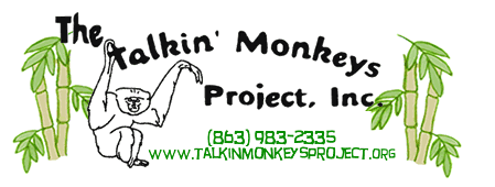 Talkin Monkeys Project